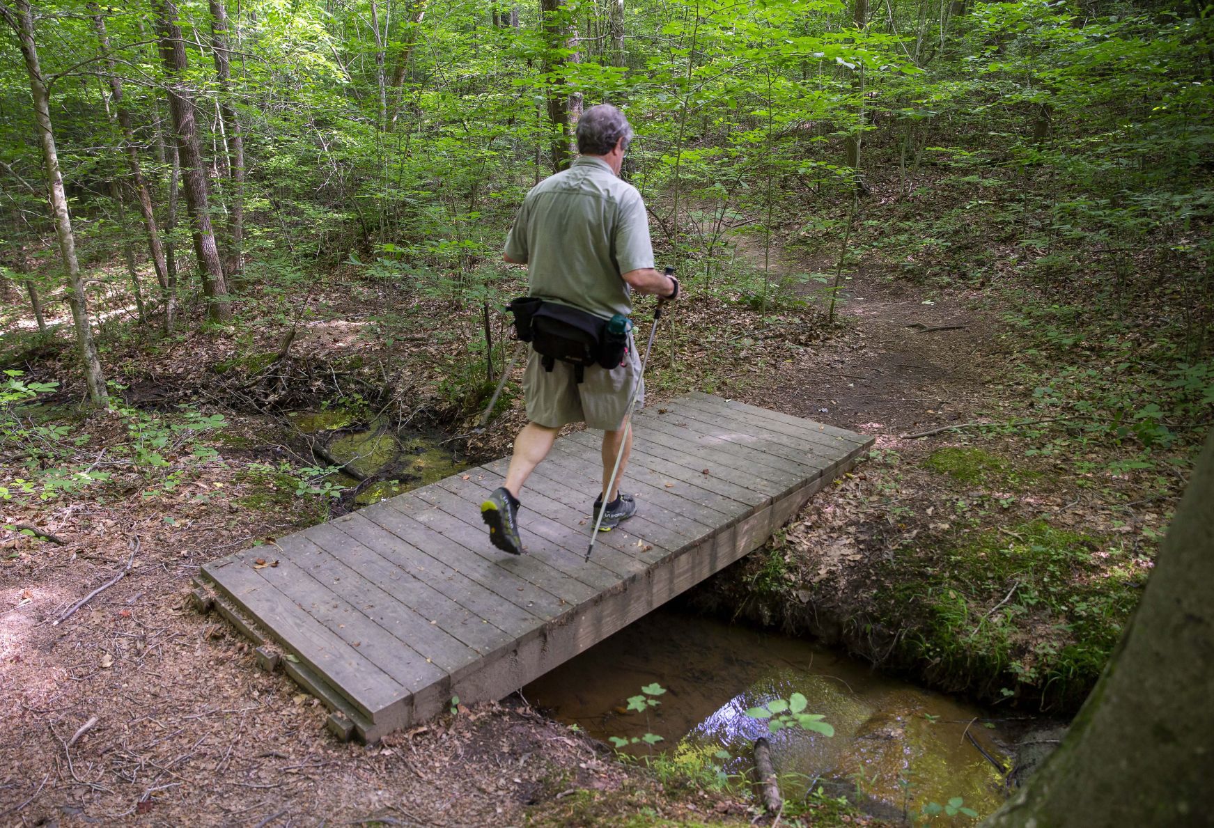 Cascade Preserve hiking trail